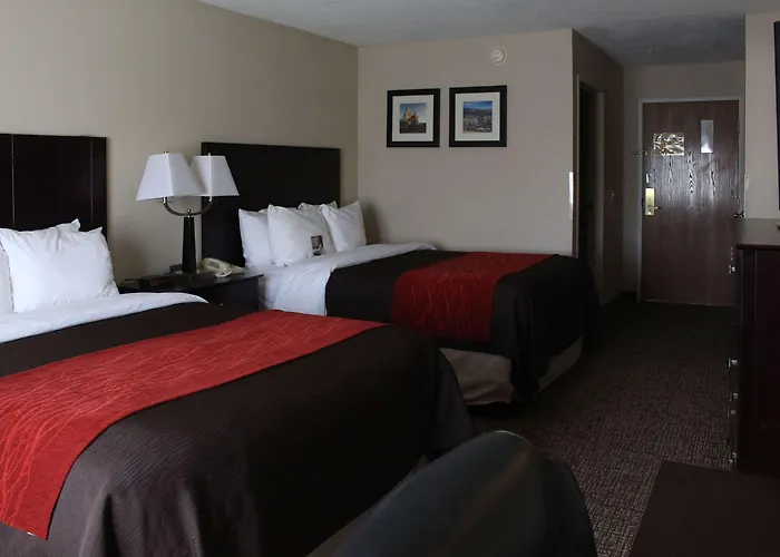 Hotel Comfort & North Tucson Marana