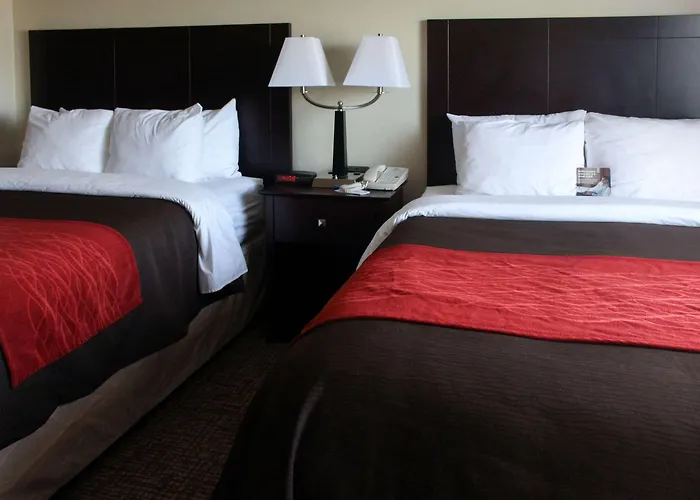 Comfort & North Tucson Marana Hotel