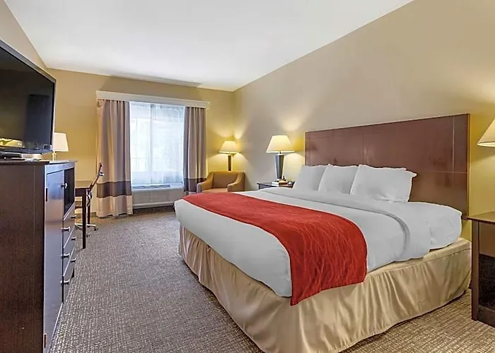 Hotel Comfort & North Tucson Marana
