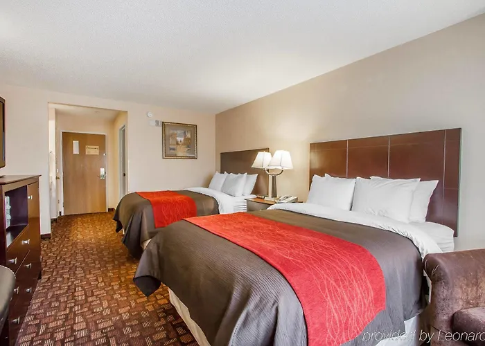 Comfort & North Tucson Marana Hotel